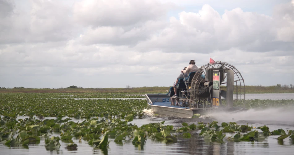 The Best Scenic Airboat Tours in Kissimmee