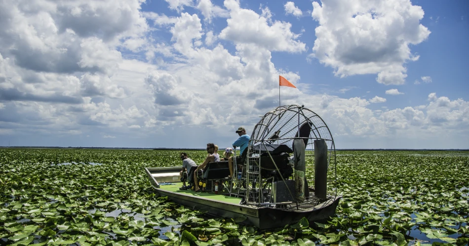 The Best Scenic Airboat Tours in Kissimmee