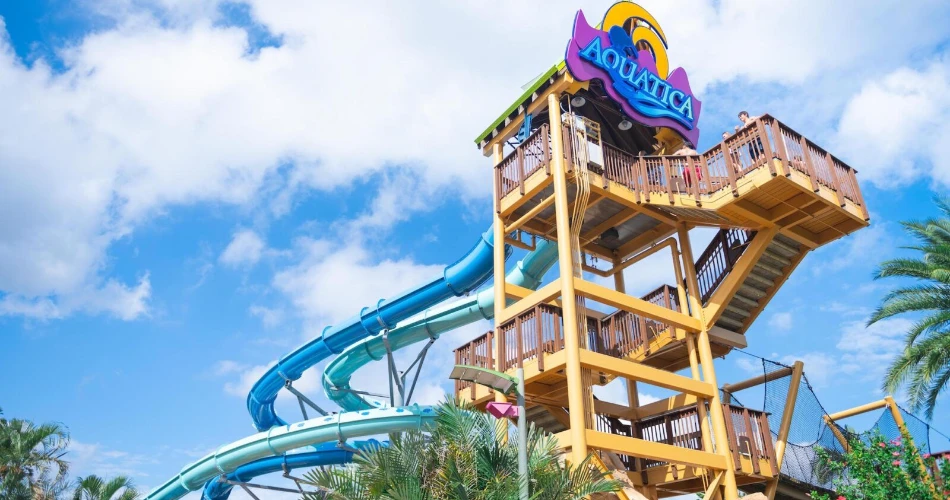 Top 12 Things to Do in Kissimmee for First-Time Visitors