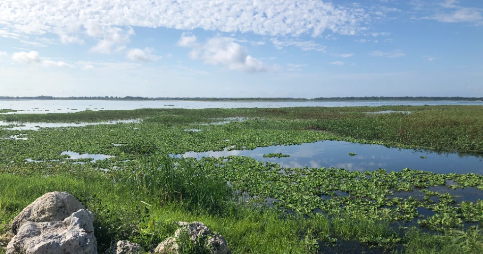 How to Spend a Relaxing Day in Downtown Kissimmee?